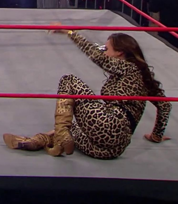 Mickie James Scrolller