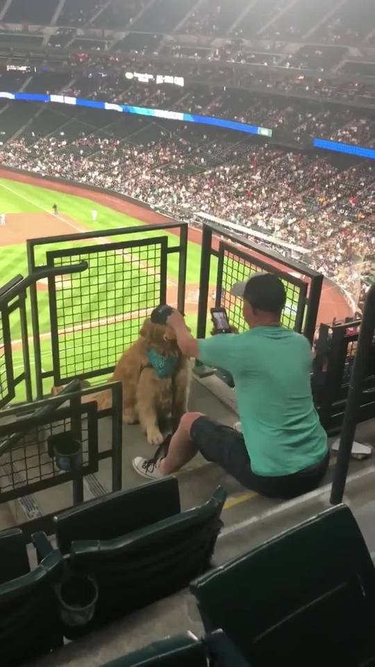 Patient Boy Trying His Hardest To Pose With Food At The Ballpark