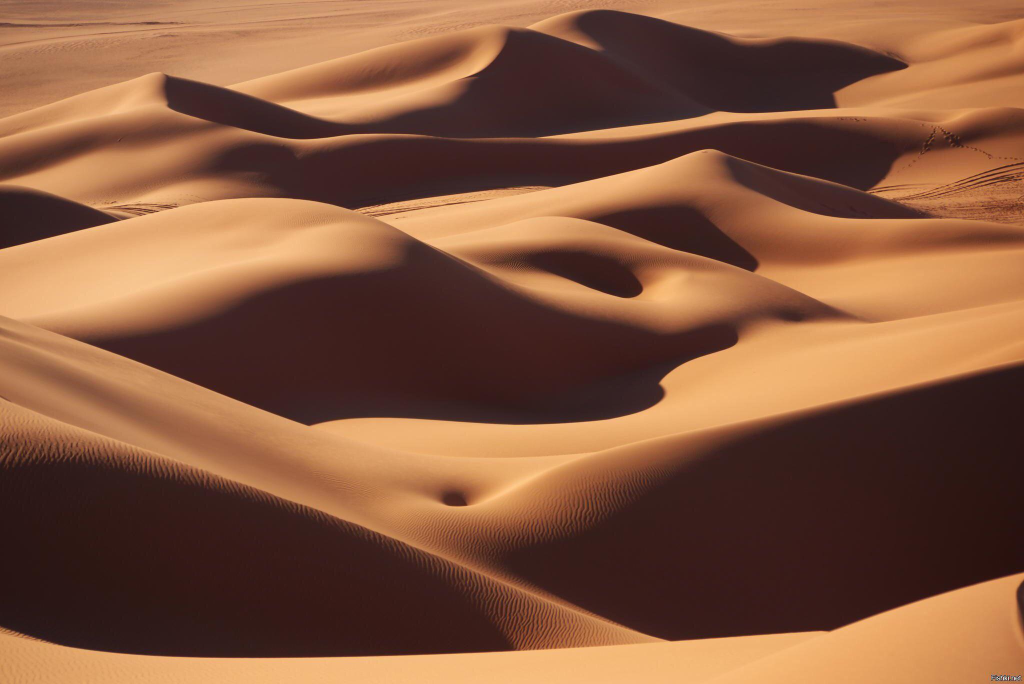 Sand Dunes Nudes In The Sahara Desert By Ivan Losar Scrolller