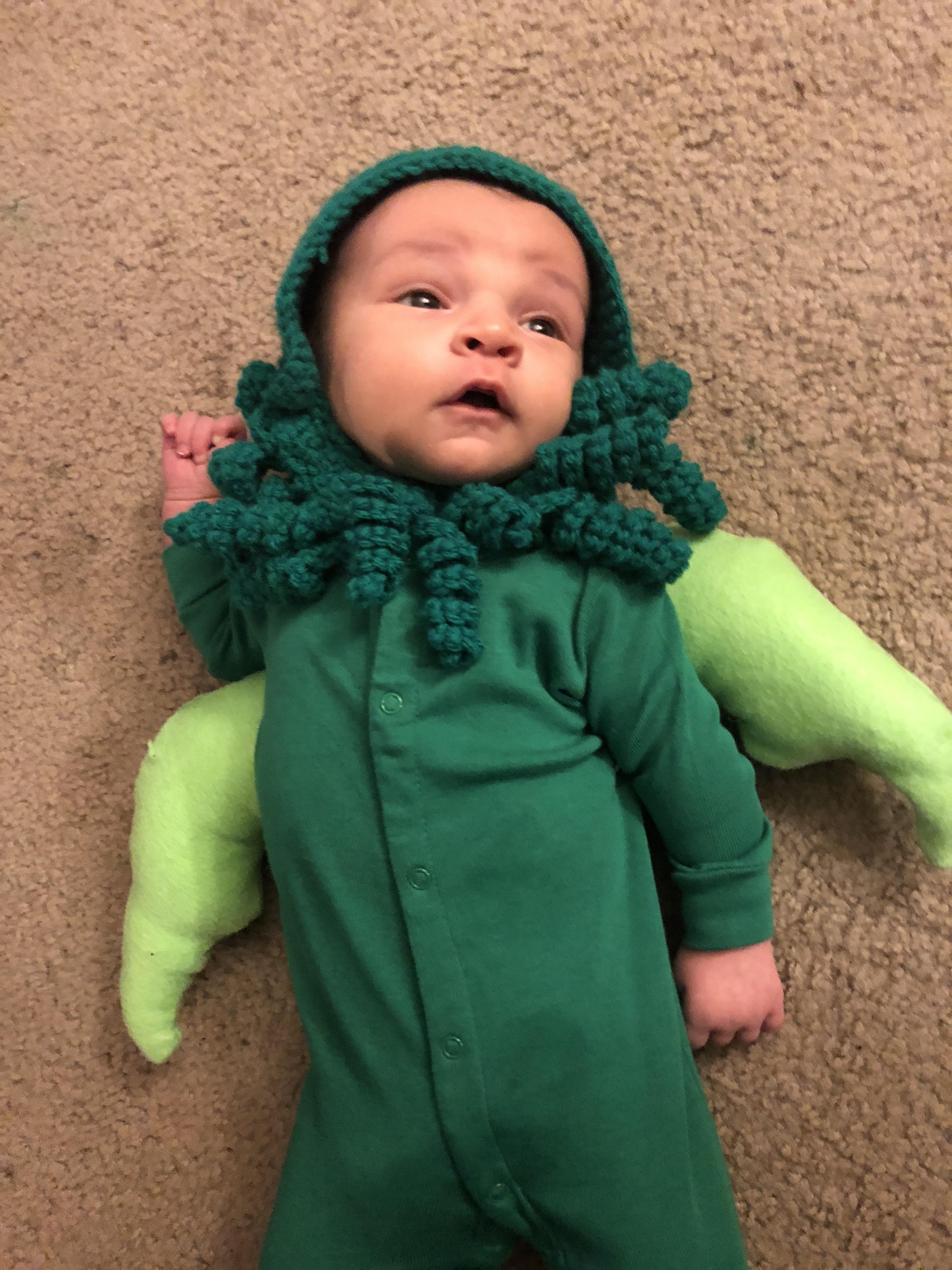 The Crawl Of Cthulhu Halloween Costume Scrolller