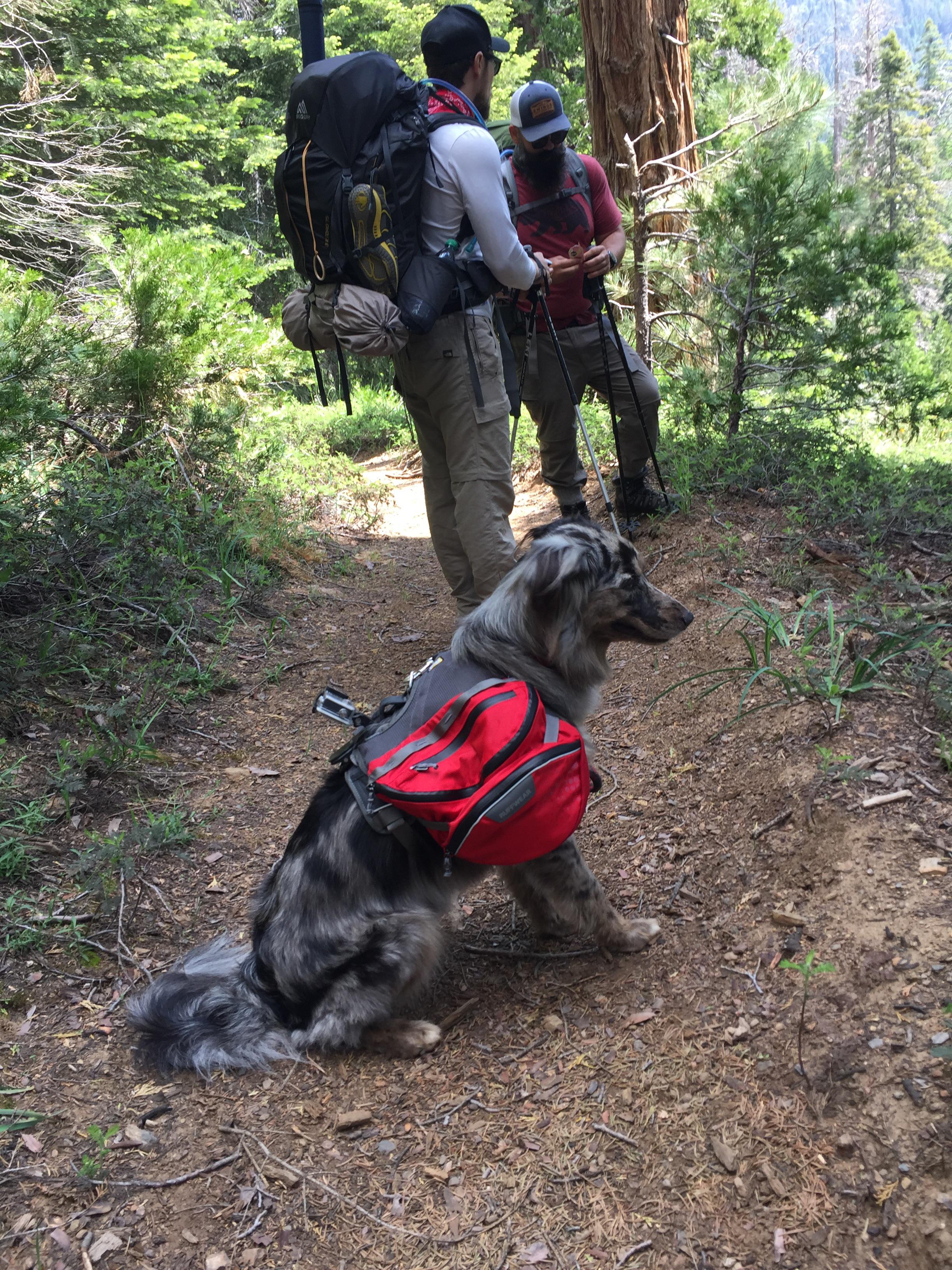 Her First Backpacking Trip Original Plan Was To Hike The Miles Up To