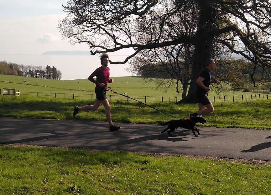 My First Park Run With Otter 5K In 20mins At Bangor Castle Park Run