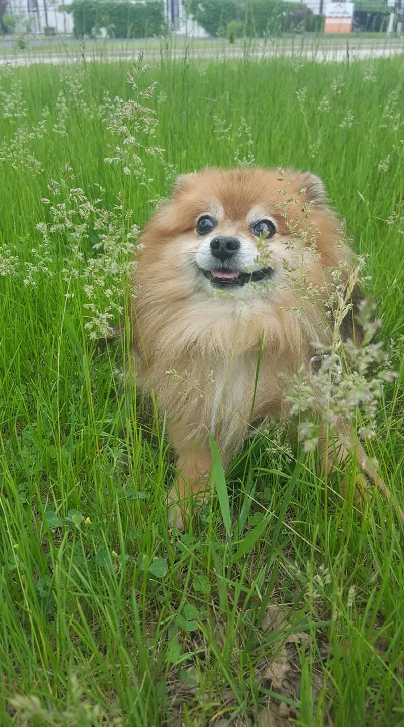 My Old Man Enjoying The Day Scrolller