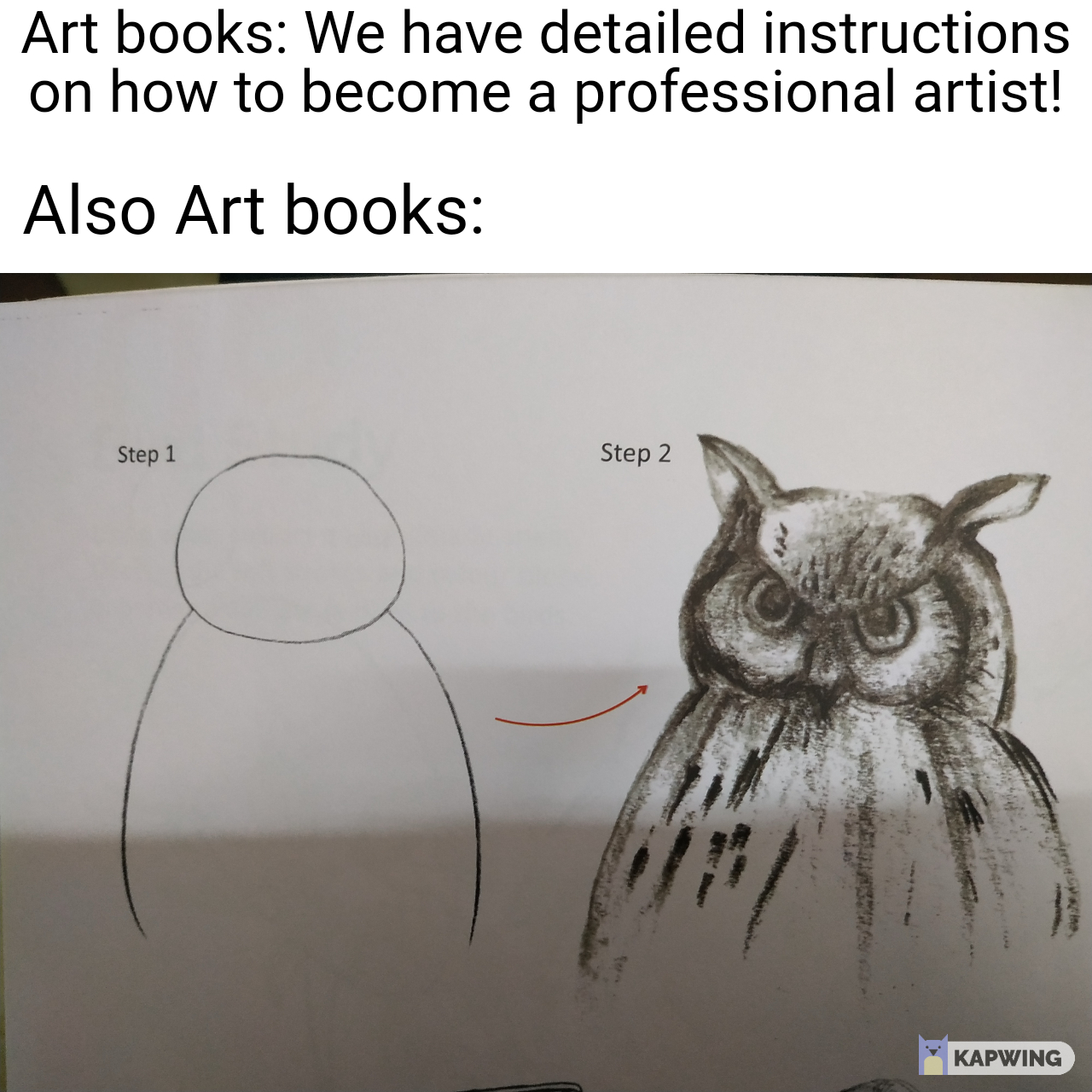 Draw A Professional Looking Owl In Just Two Simple Steps Scrolller