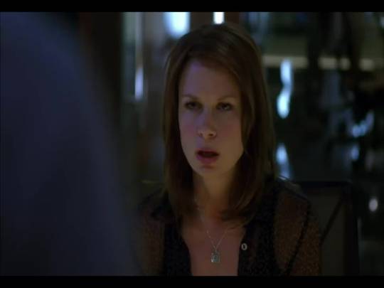 Mary Lynn Rajskub Chloe O Brian In 24 Scrolller