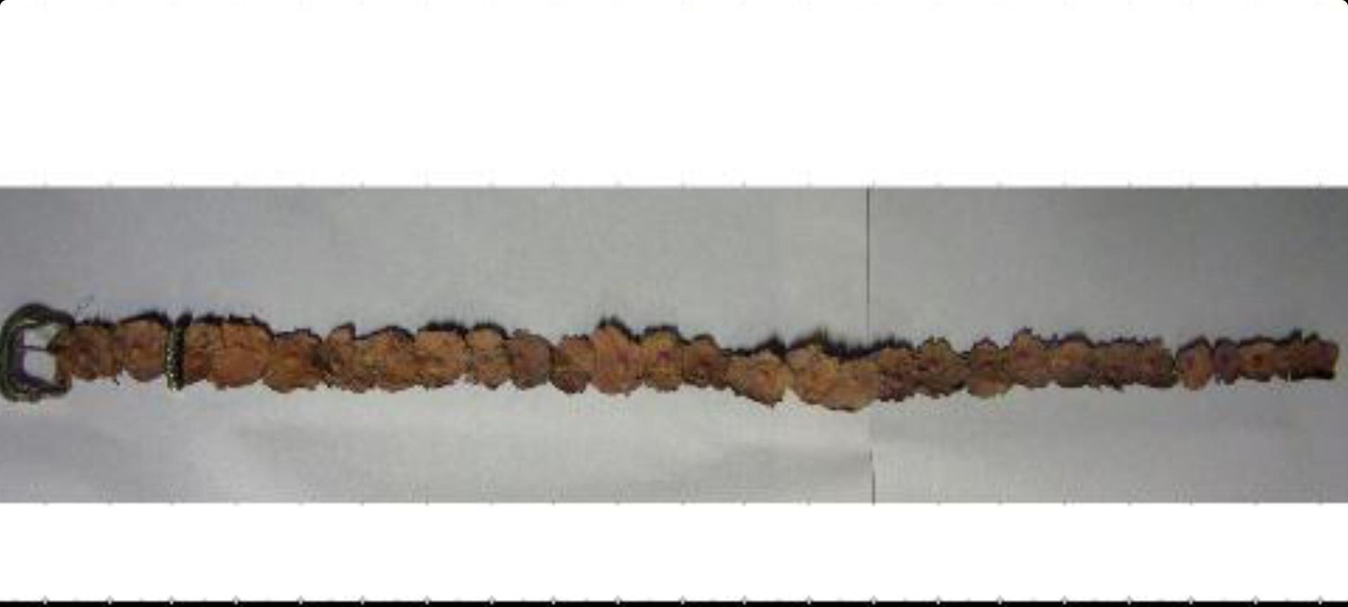 Nipple Belt Made By Ed Gein A Serial Killer Scrolller