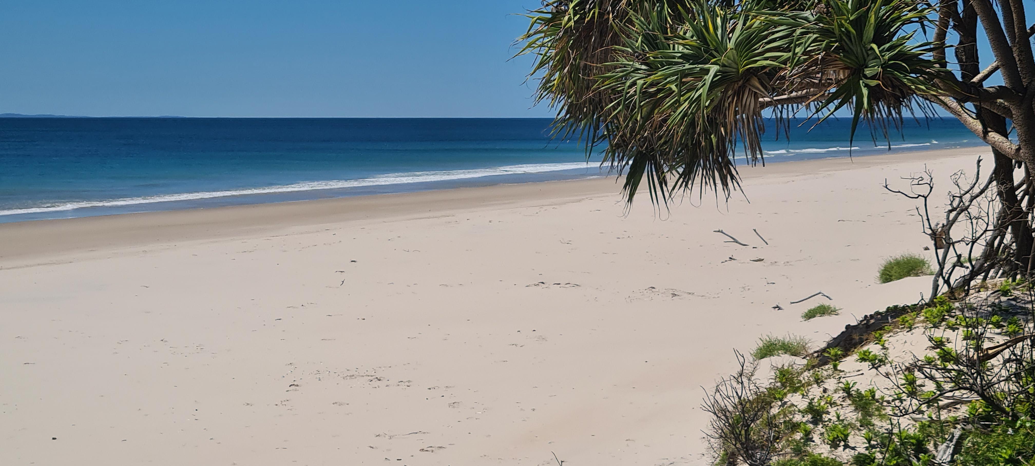 Ocean Beach Bribie Island Qld Australia Northern End Oc Scrolller