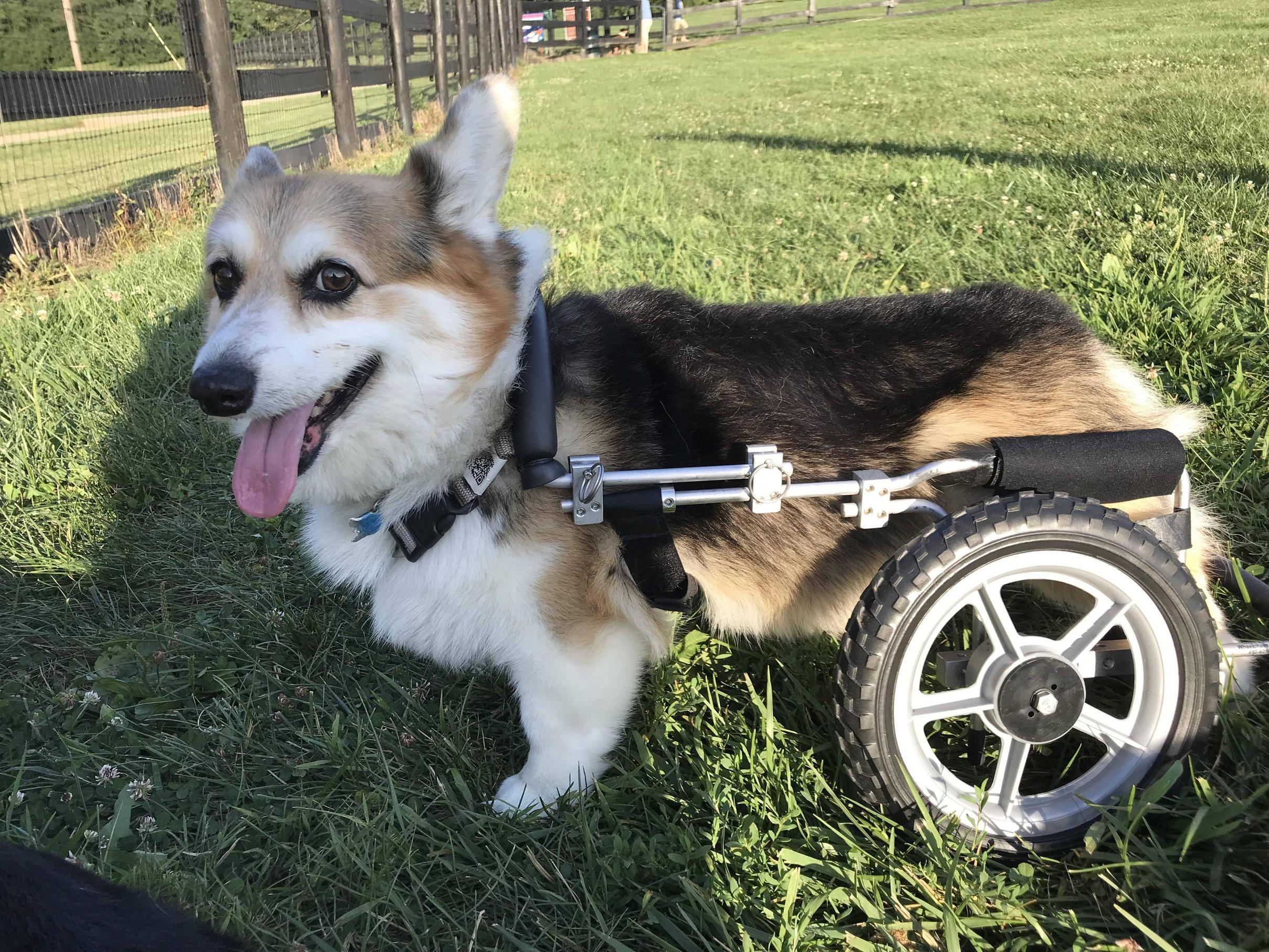 Smilin Boone And His Hot Wheels Scrolller