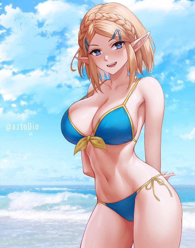 Rule Swimsuit Zelda Aztodio The Legend Of Zelda Scrolller