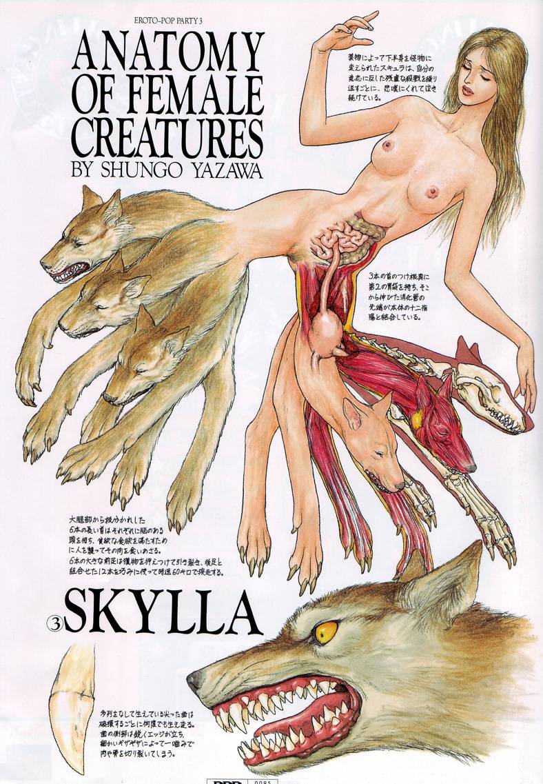 Anatomy Of Female Creature Skylla Scrolller