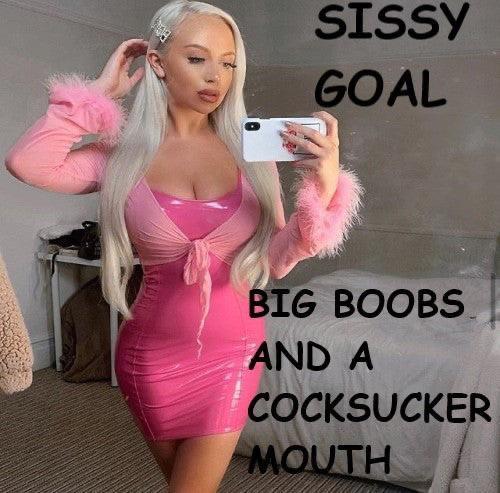 As A Sissy You Have To Reach Your Goals And Fulfill Your Destiny As A