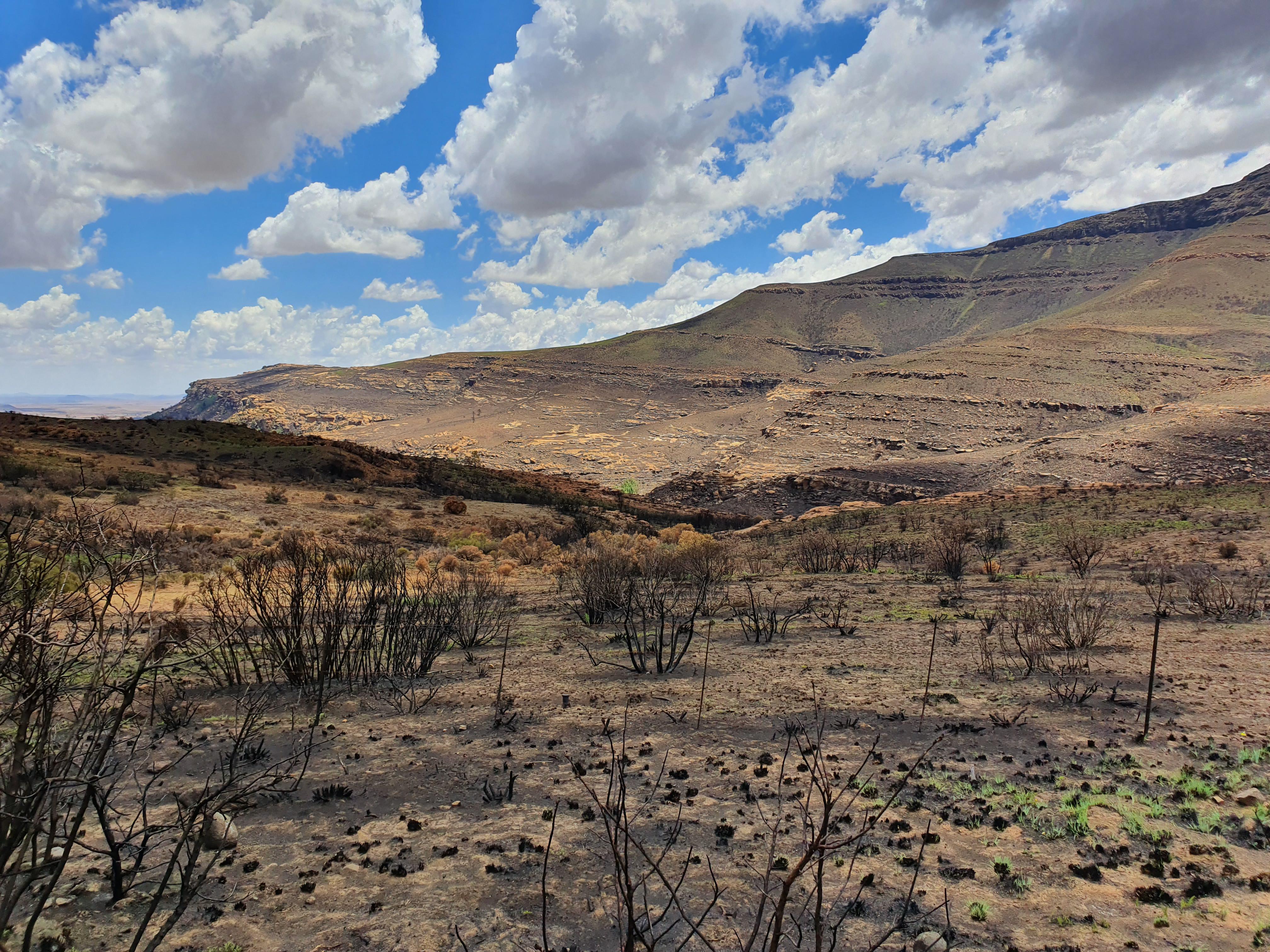 Burned Down And Drought In South Africa Scrolller