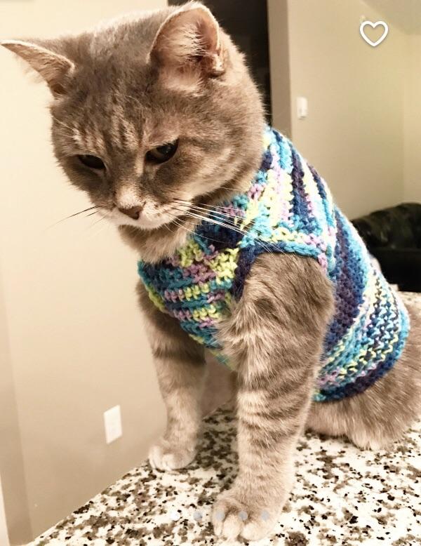 Cheshire In Her Handmade Custom Sweater Scrolller