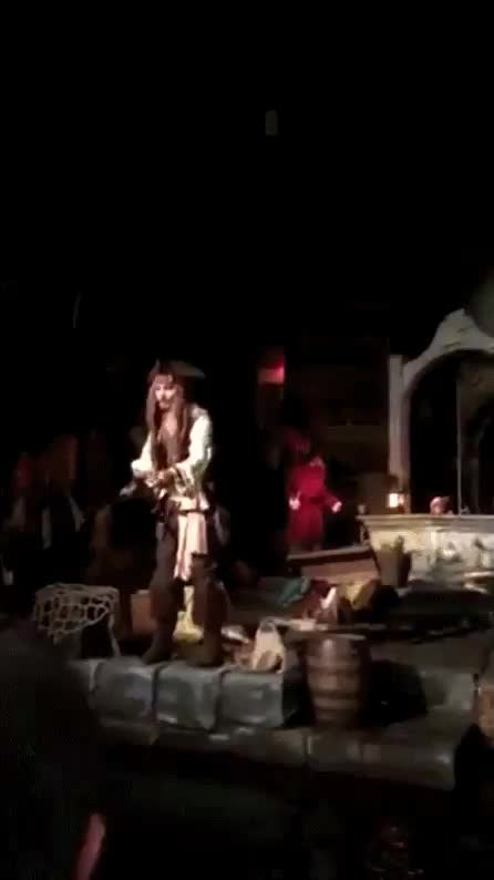 Johnny Depp Surprising Pirates Of The Caribbean Ride Goers With A