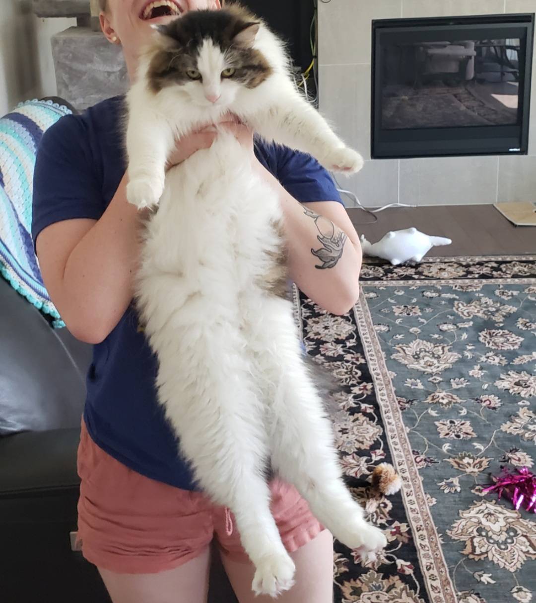 Proudly Showing Off My Huge Fuzzy Pussy Scrolller