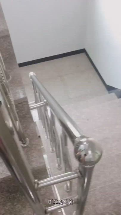 Amateur Quickie In A Stairwell Scrolller