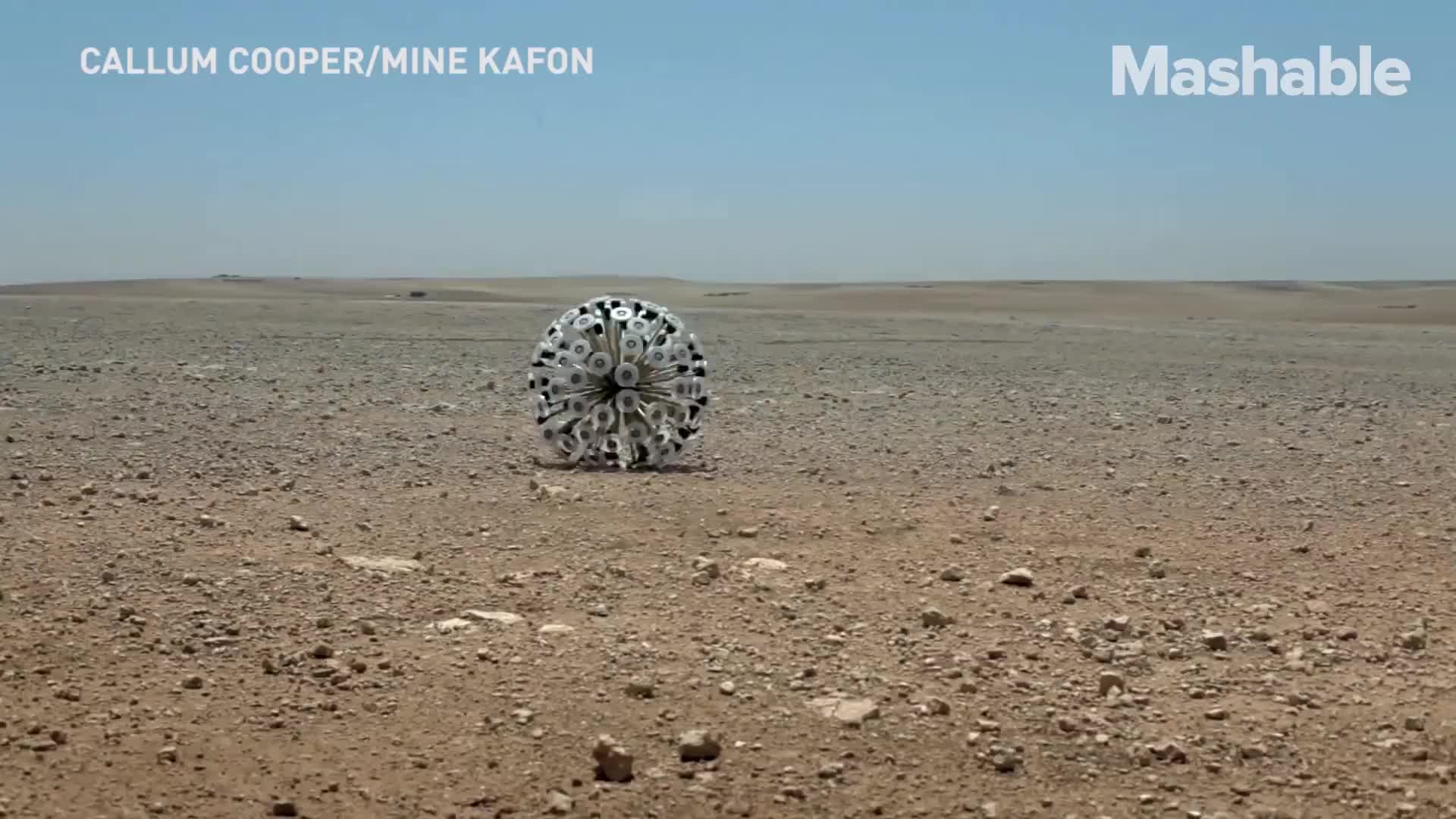 A Life Saving Land Mine Detonator That Resembles A Giant Tumbleweed