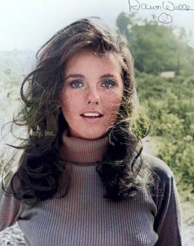 Dawn Wells Aka Mary Ann On Gilligans Island Scrolller 72080 Hot Sex