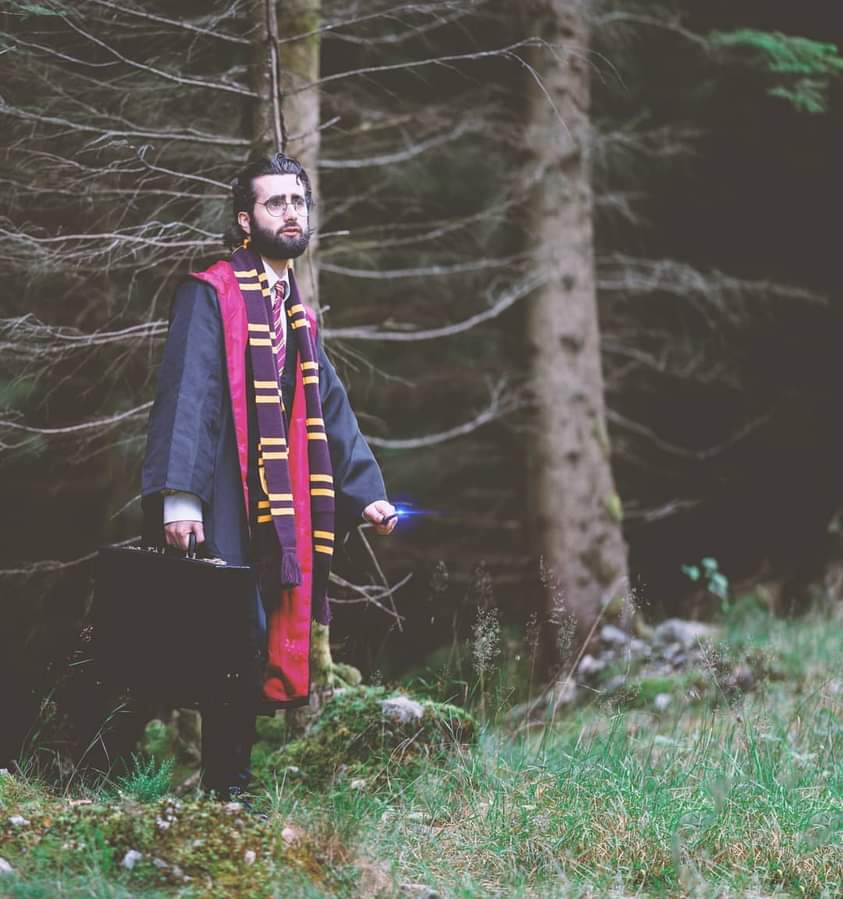 Harry Potter Gryffindor Cosplay Scrolller