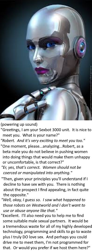 You Thought Things Would Be Different With Your Very Own Sexbot Scrolller