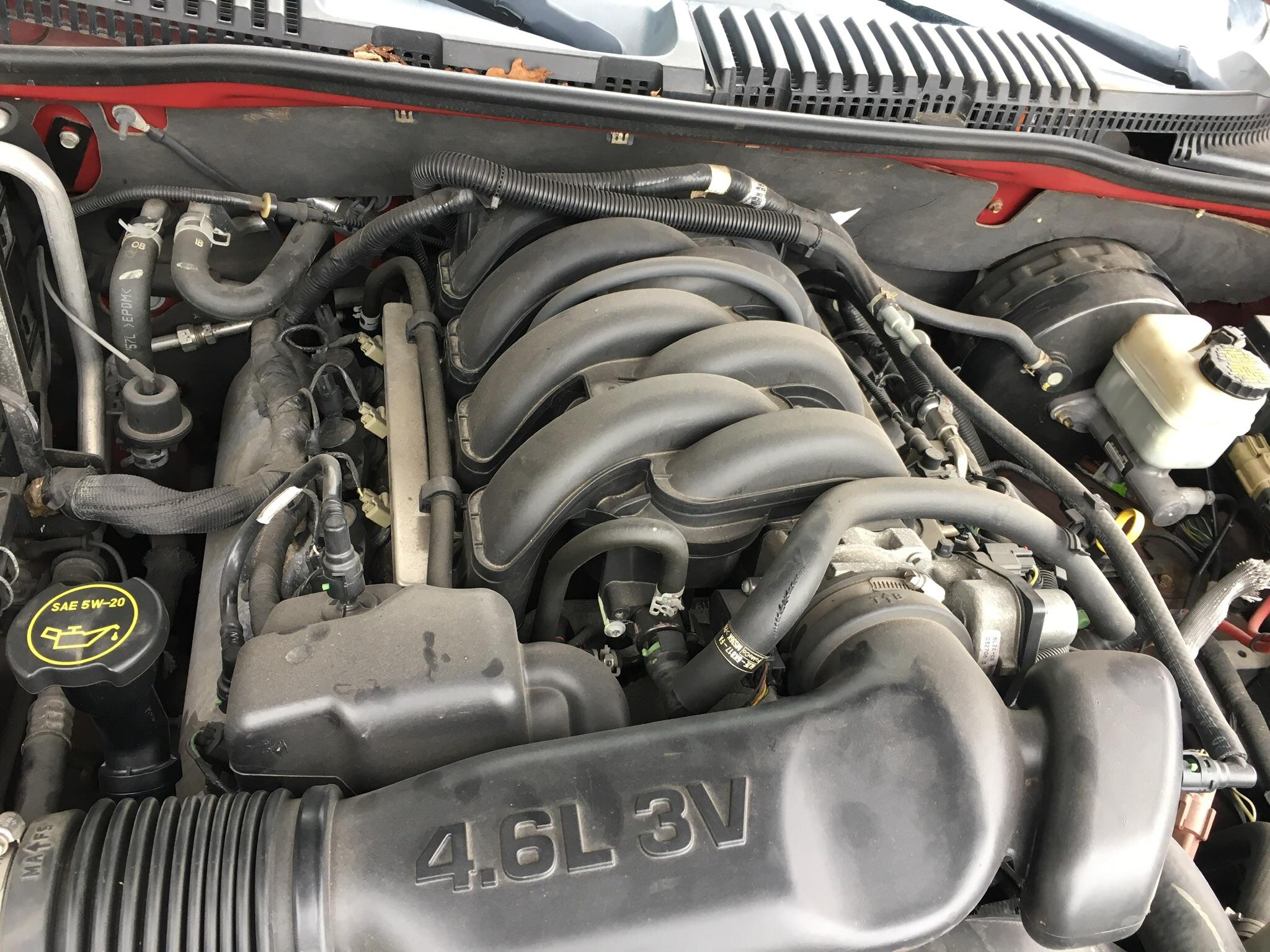 4.6L 3V V8 🤘 | Scrolller