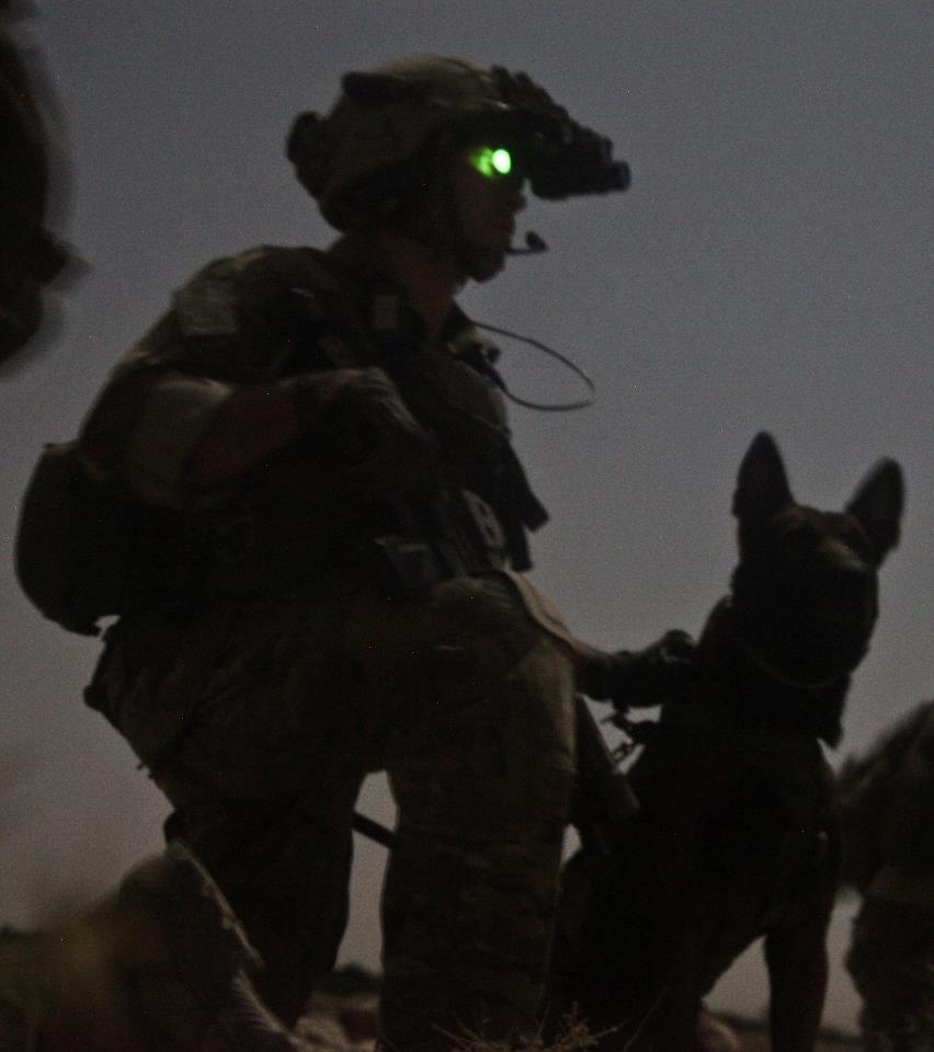 75th Ranger Regiment Dog Handler | Scrolller