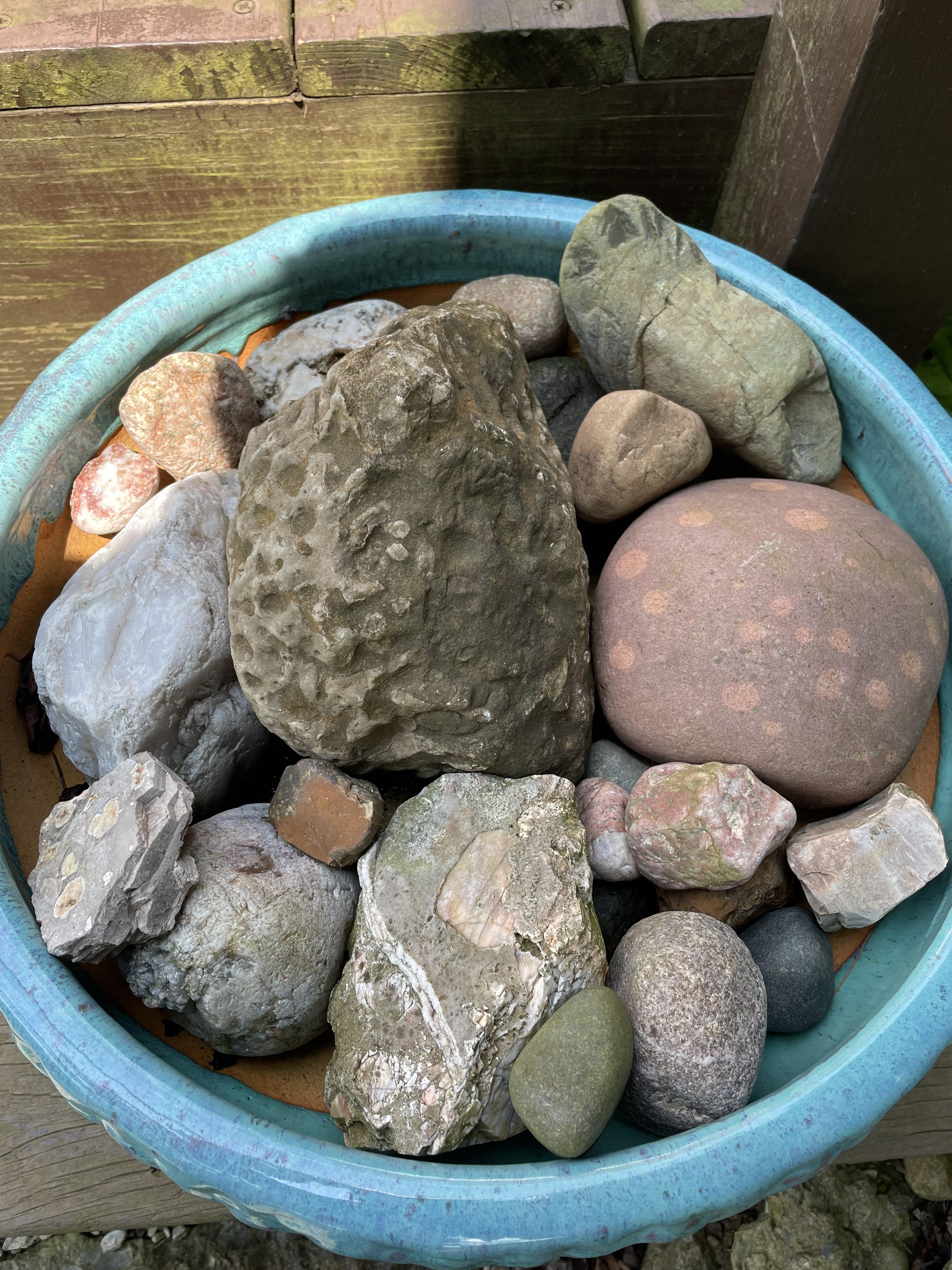 Shell Spotted Rock A brown spotted rock, and a small sample from my parents rock ...