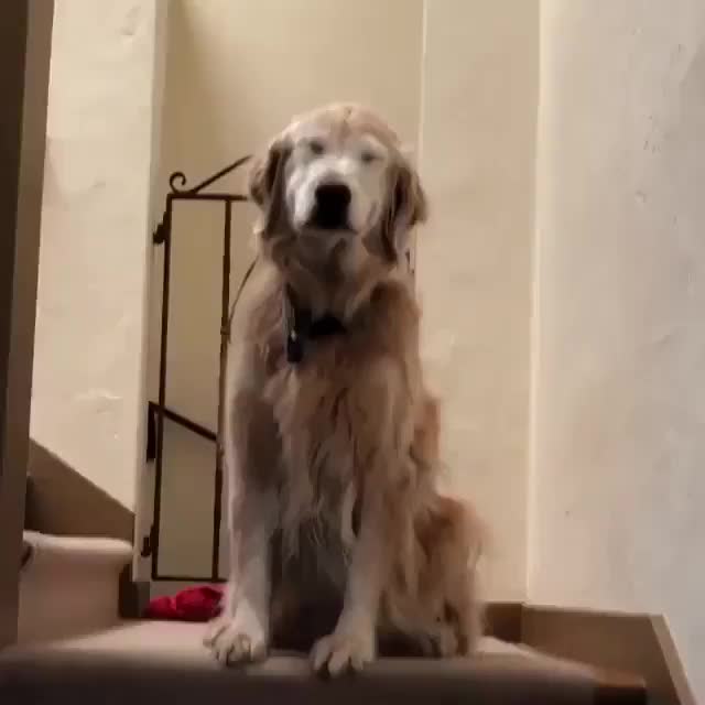 A sweet, older gentleman