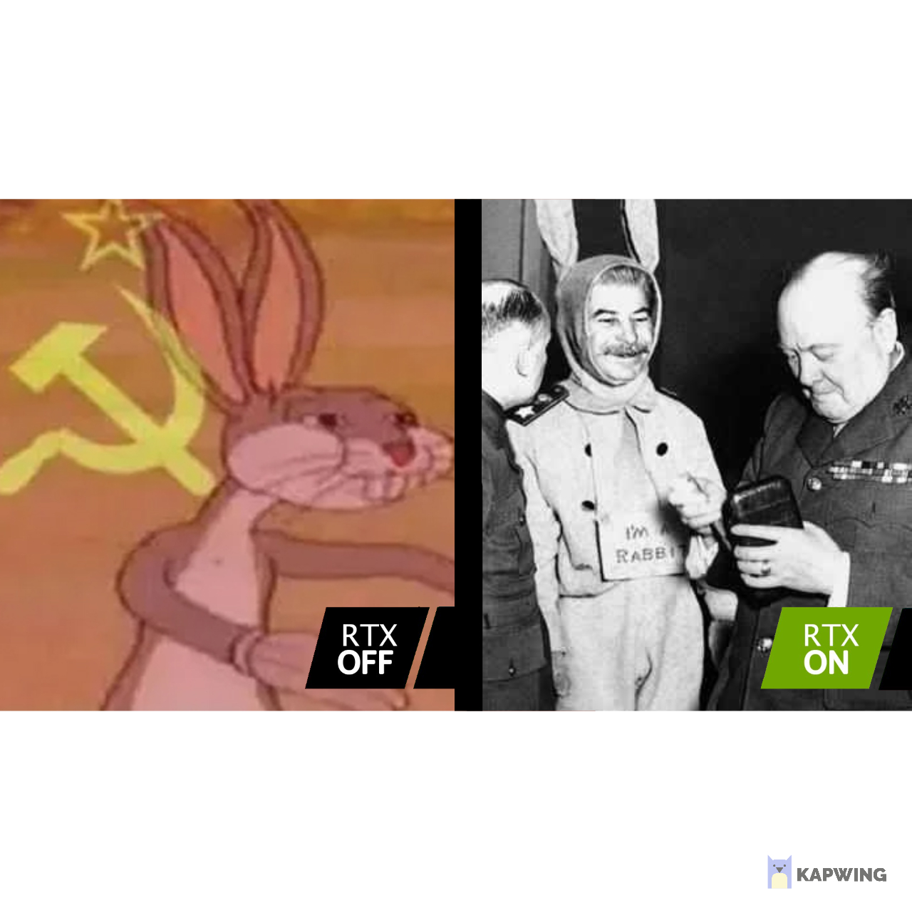 All I see is a russian bunny | Scrolller