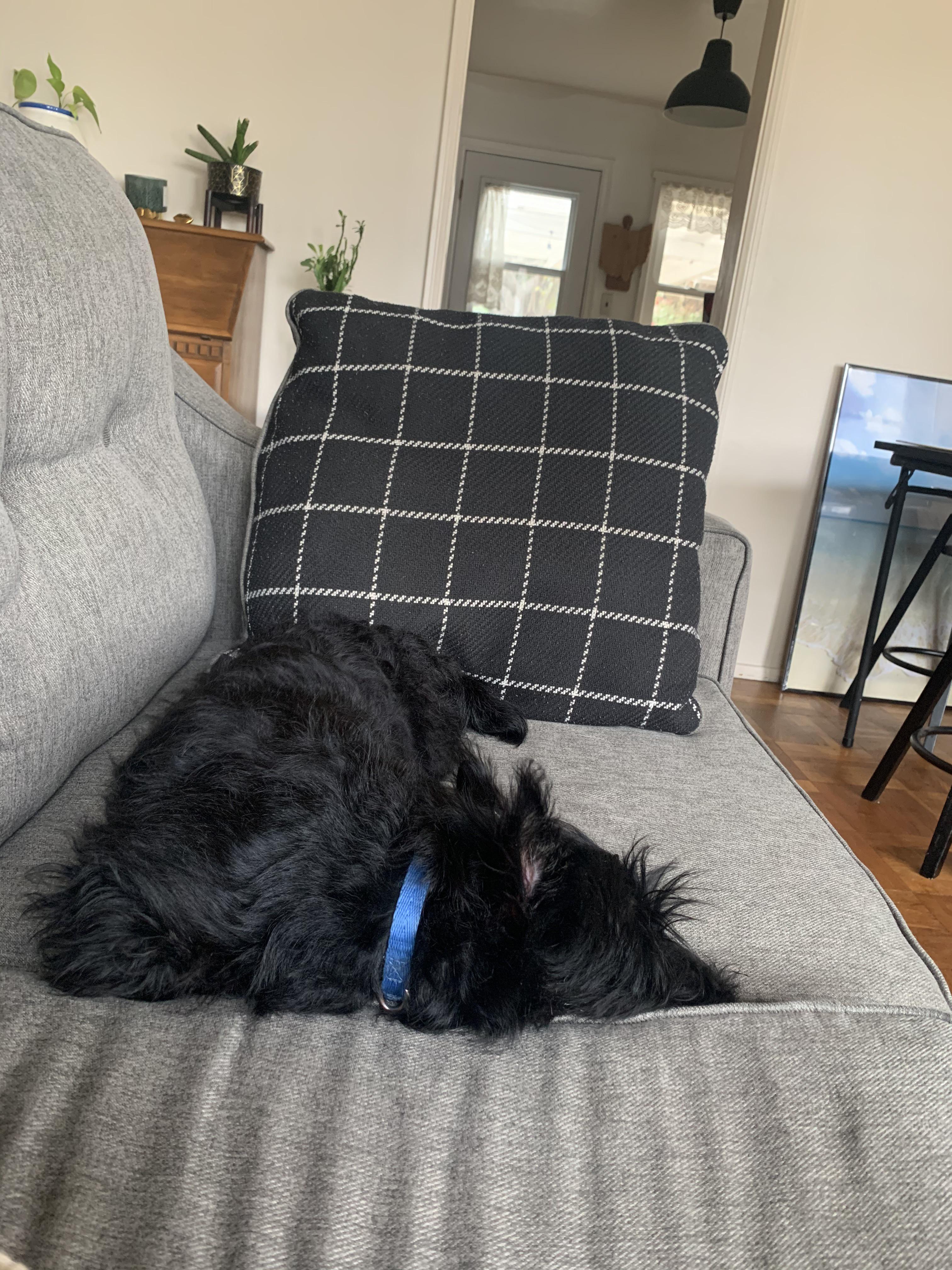 Always Digging Scrolller