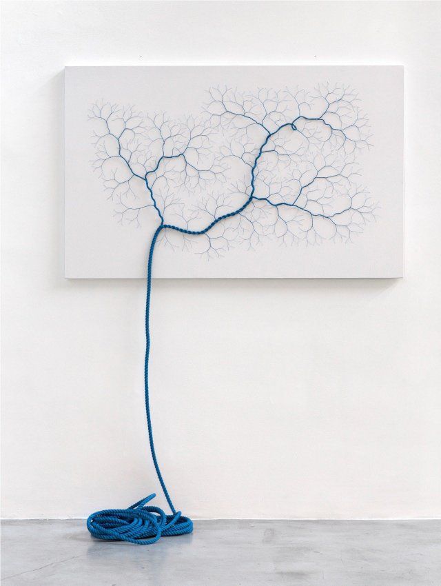 An unravaled rope reveals fractal pattern | Scrolller