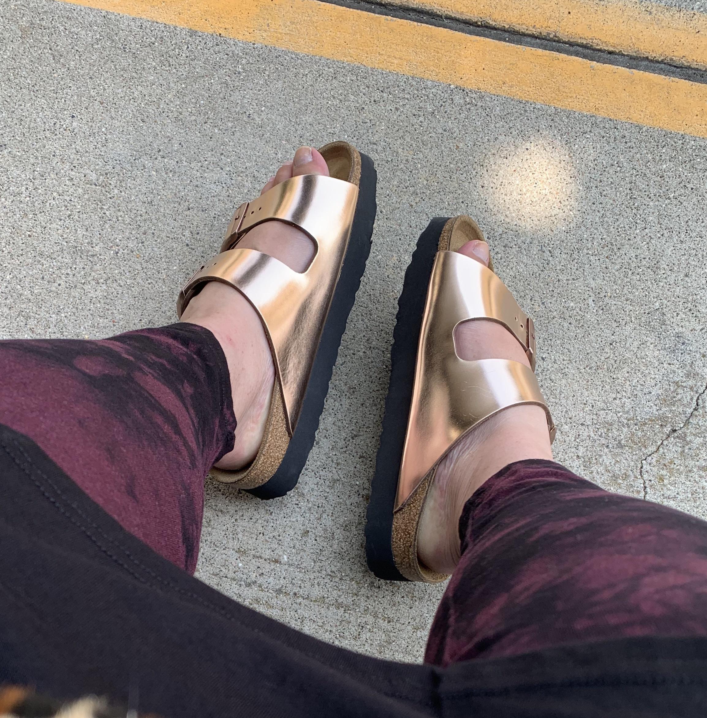 papillio platform