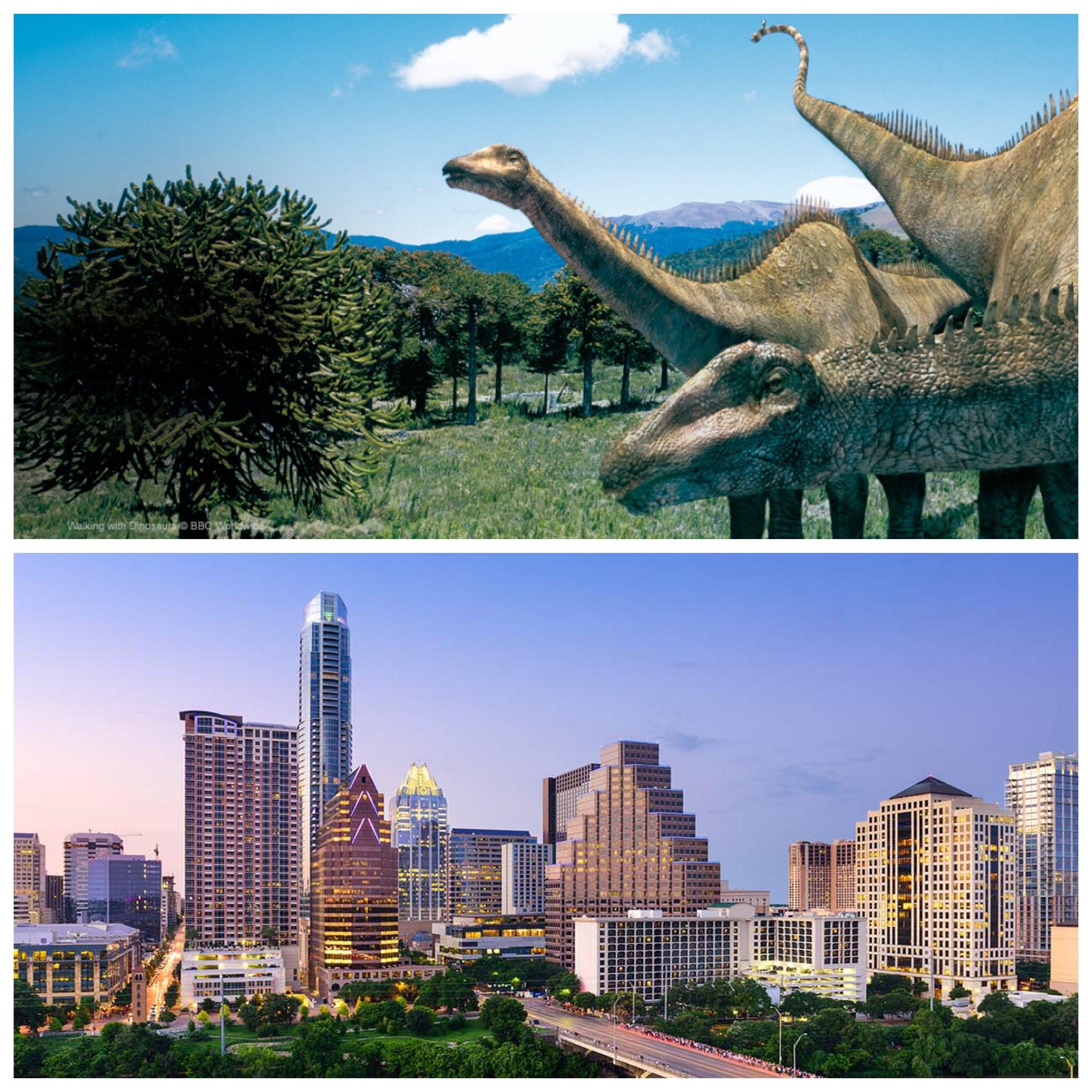 Austin skyline then vs now Scrolller