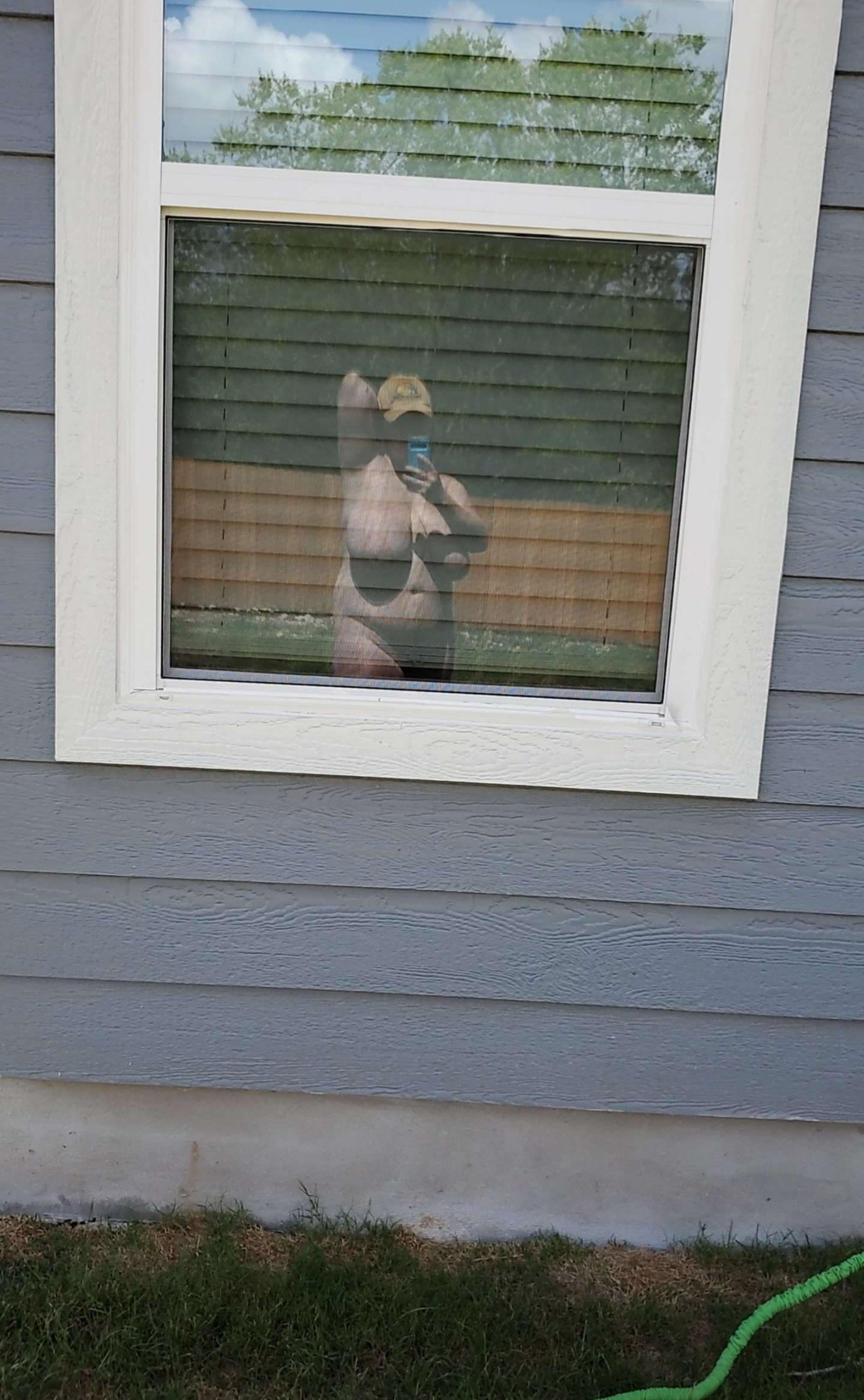 Backyard life Scrolller