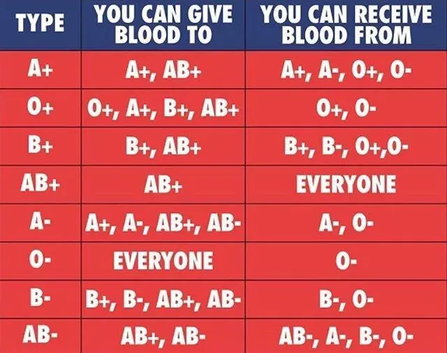 Discover more like Coolguides: Blood Types and Related Content | Scrolller