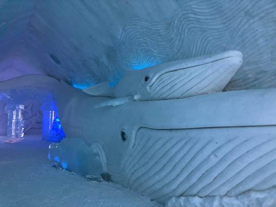 Blue whale sculpture in the Ice Hotel in Quebec, Canada