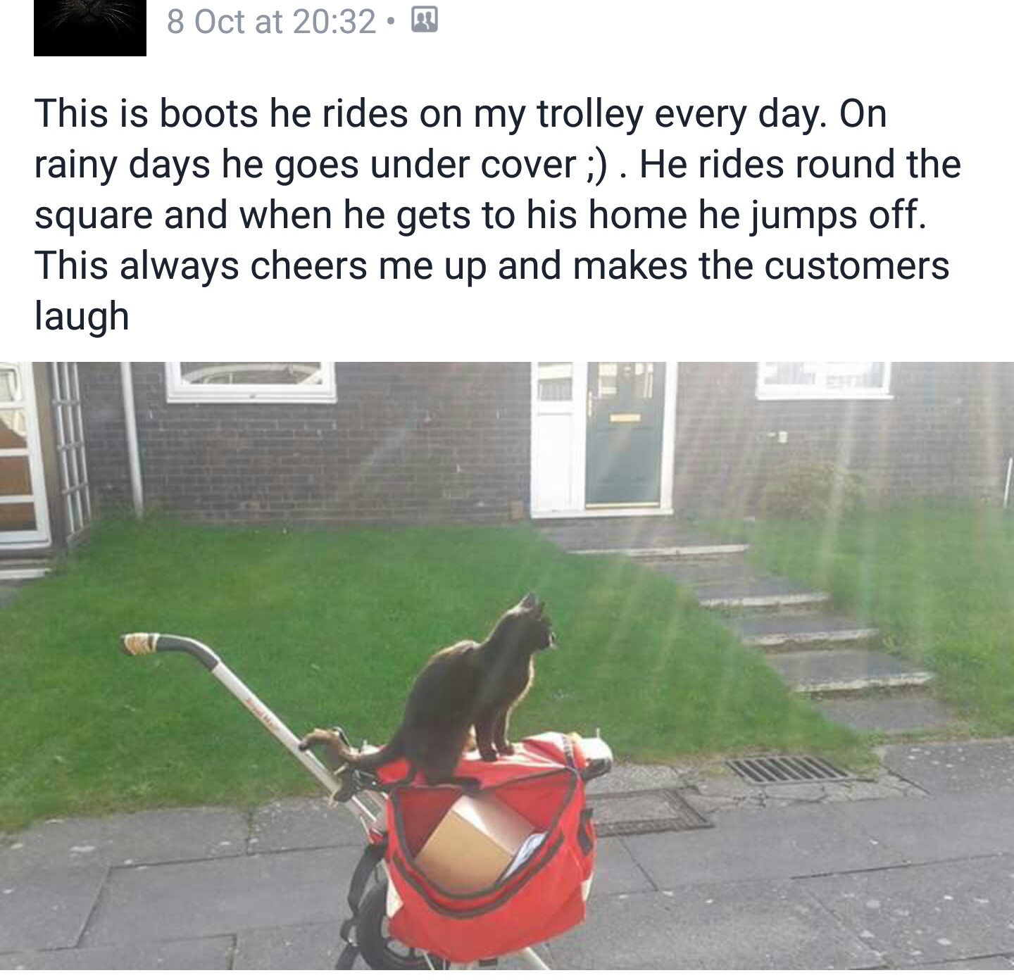 Boots the cat Scrolller