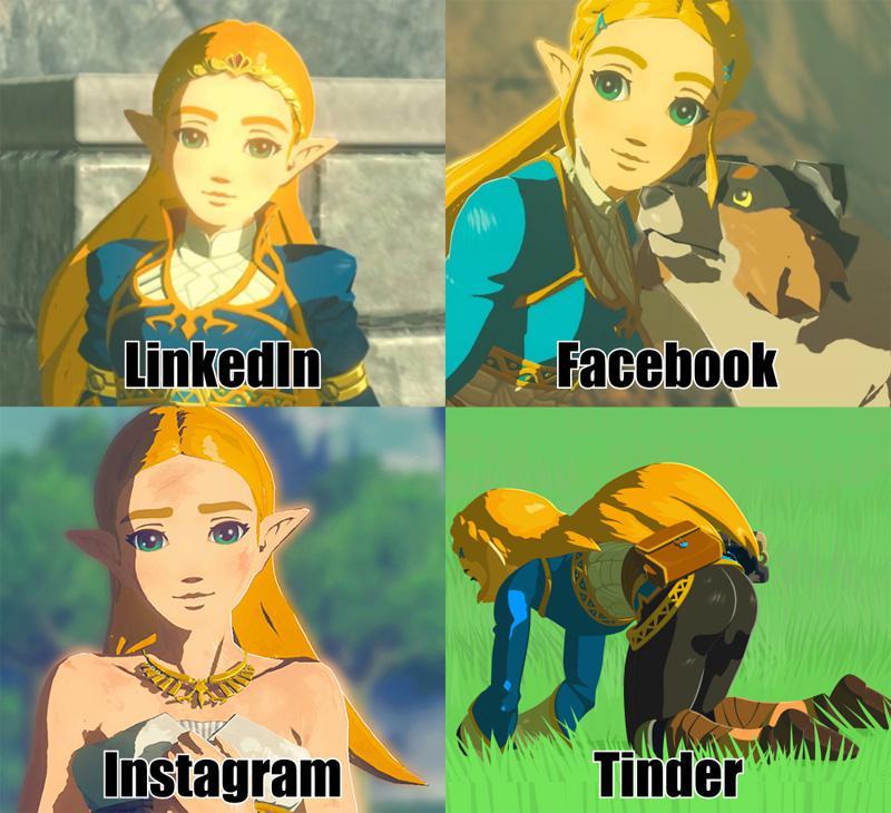 [BoTW] Princess Zelda on Social Media... | Scrolller