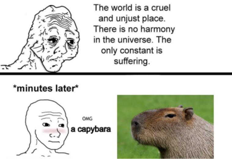 Brazilians really do be living the dream | Scrolller