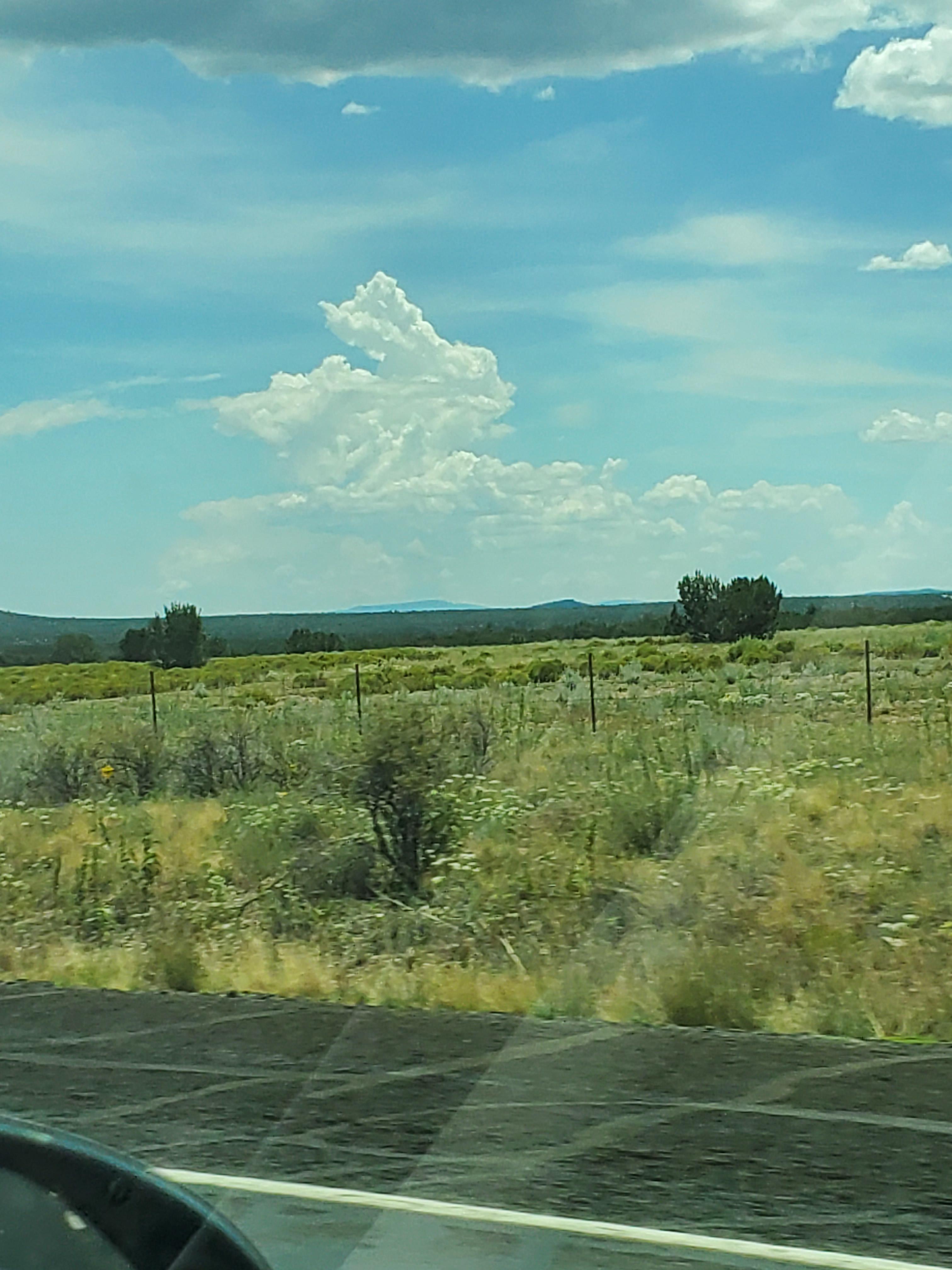 Chasing the white rabbit | Scrolller