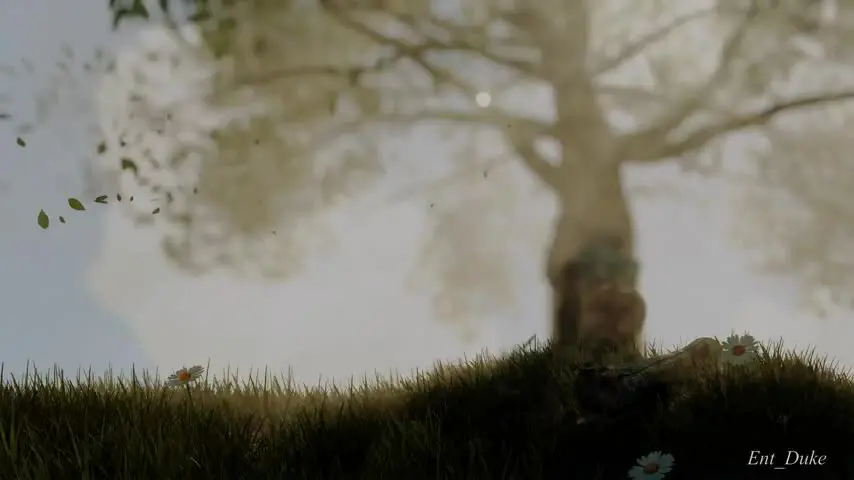 Ciri in the wild (Ent_Duke) [The Witcher] | Scrolller