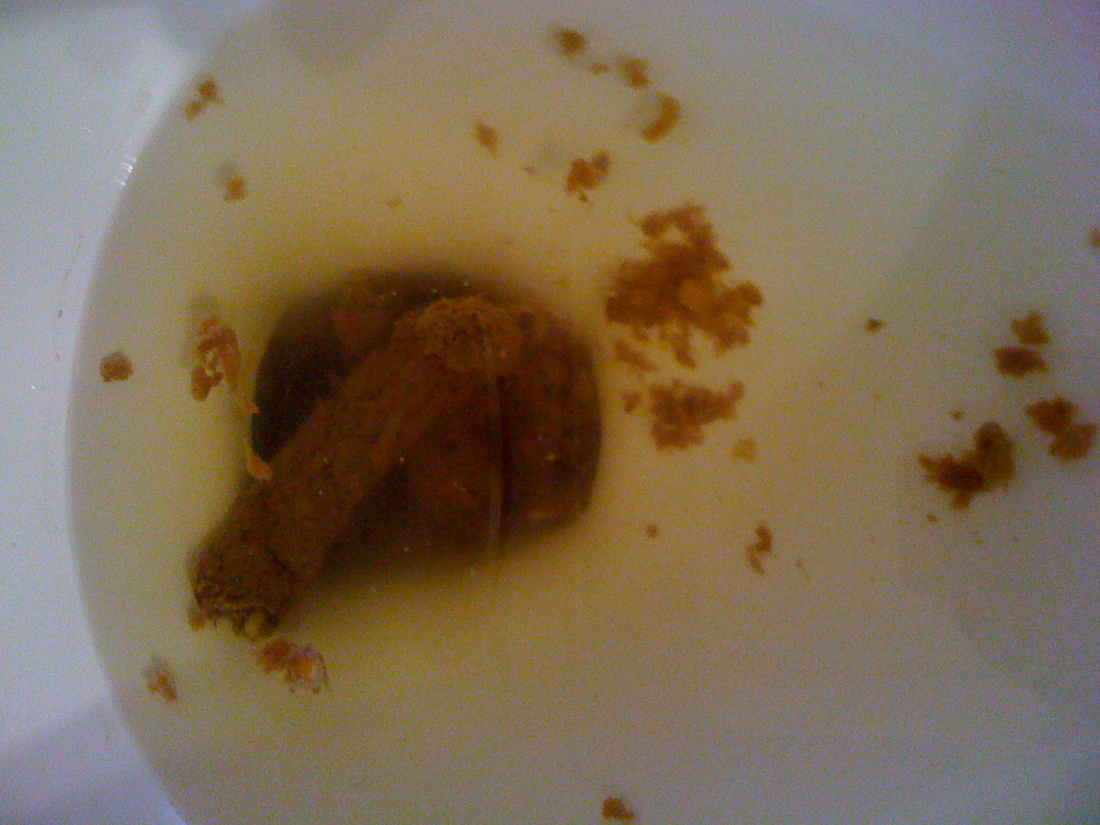 Corn log why doesnt that shit digest scrolller