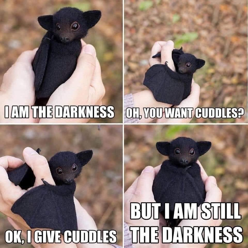 Stop! You have been cuddled by the darkness