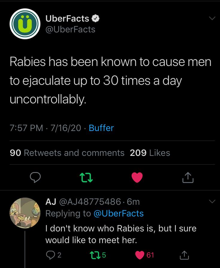 cursed_rabies | Scrolller