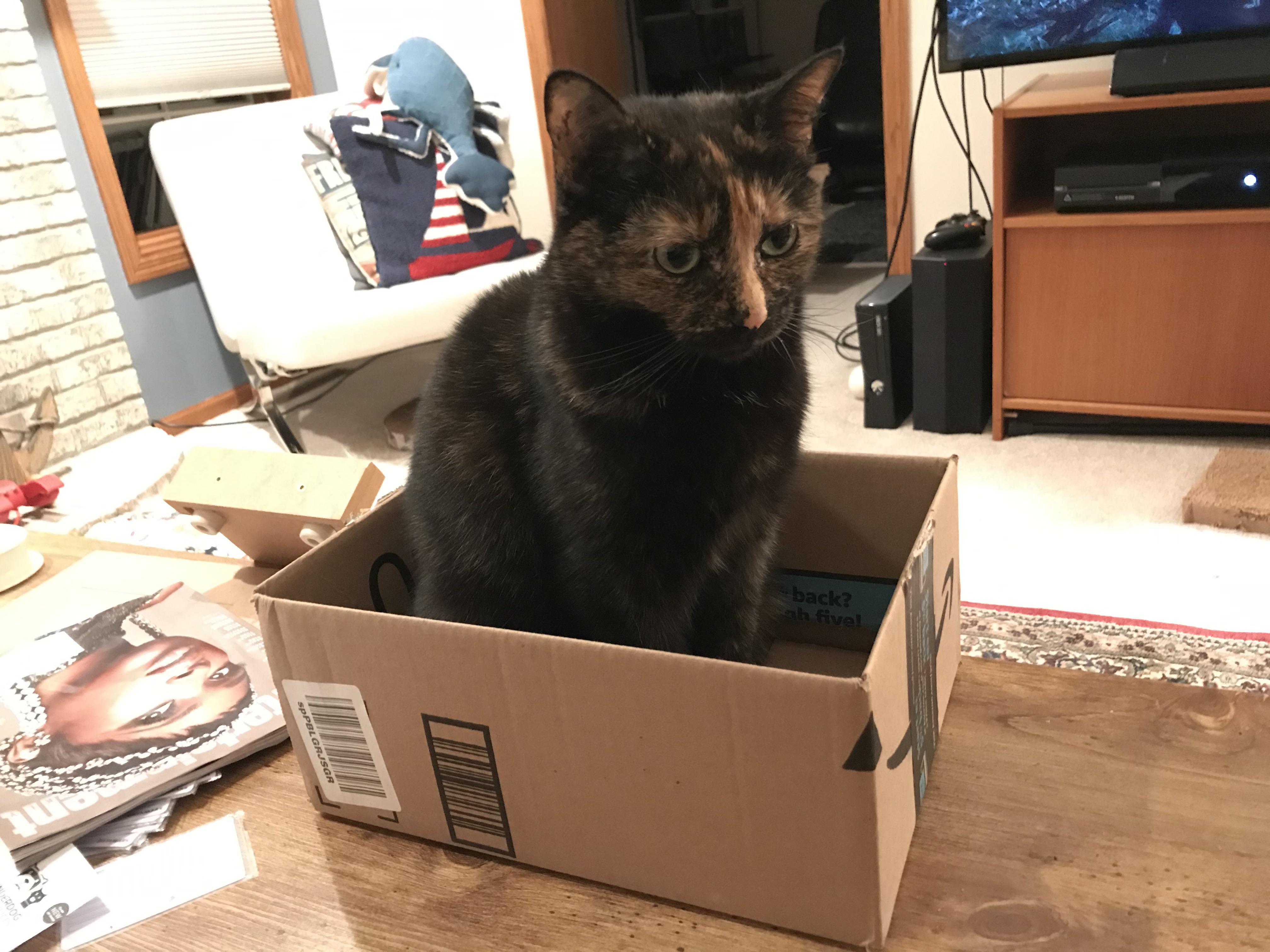 Decoy trap Scrolller