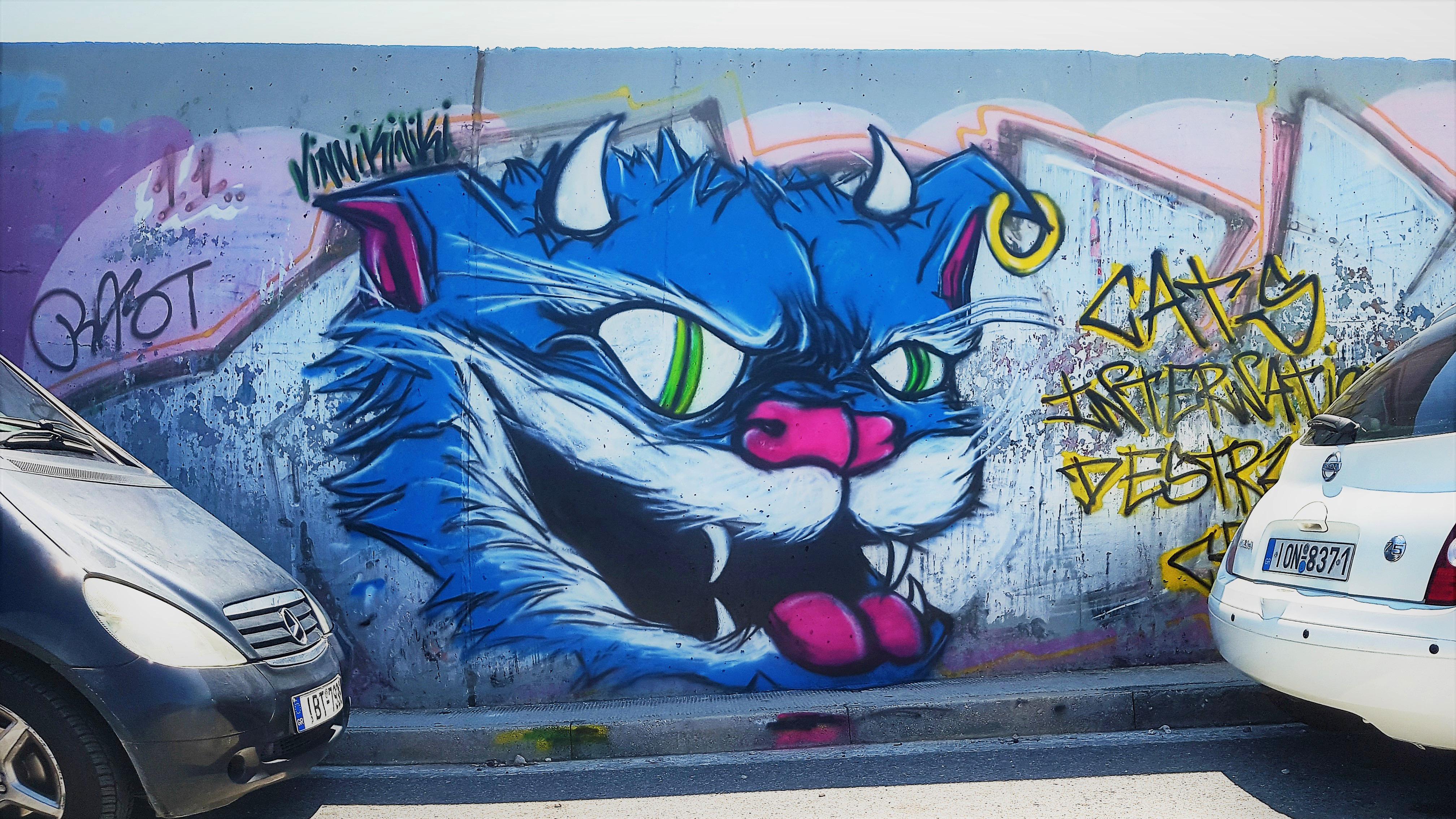 Граффити рисунок коты