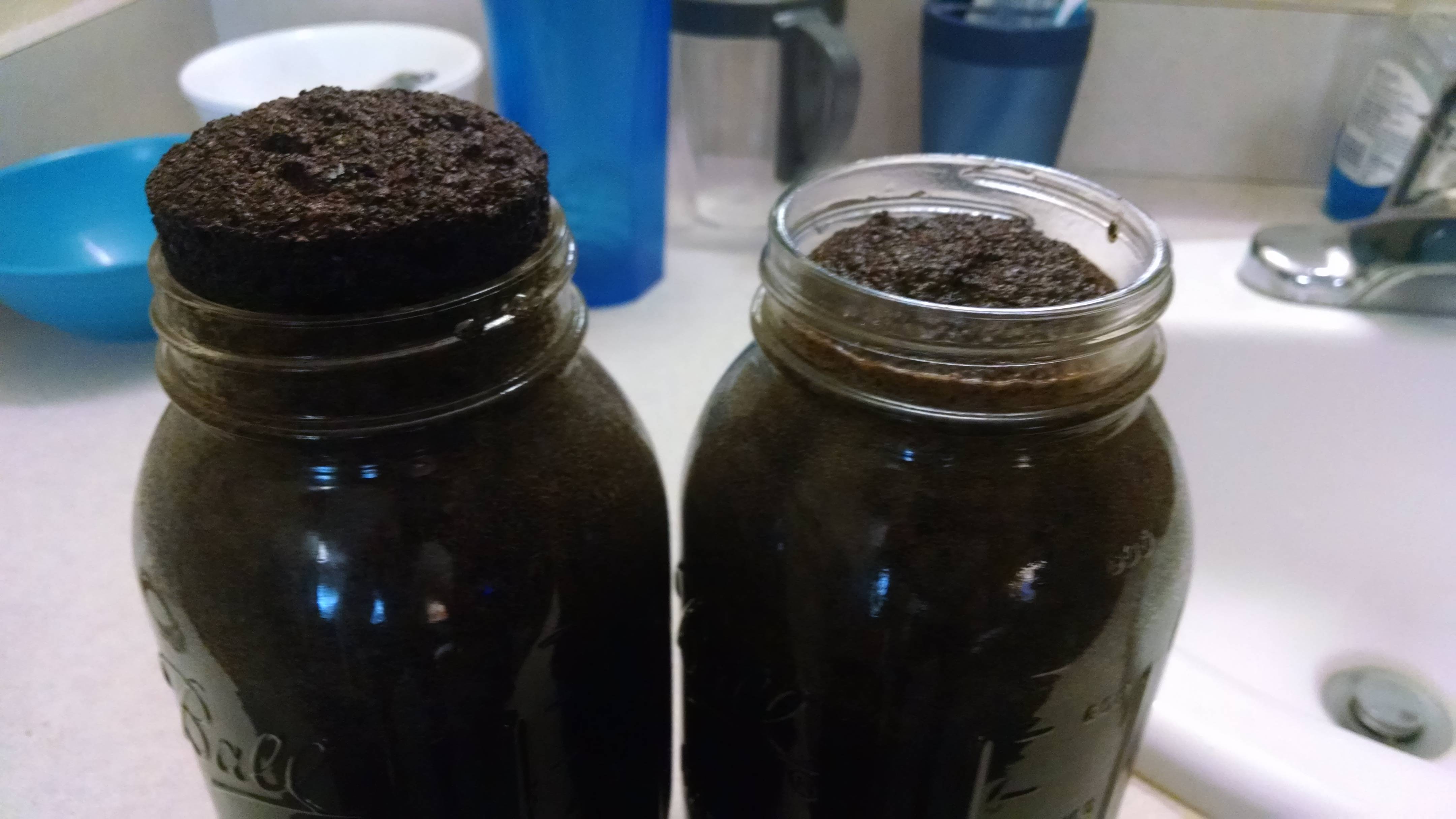 Difference In Bloom From Coffee That Was Roasted 24 Hours Ago Versus 8 difference-in-bloom-from-coffee-that-was-roasted-24-hours-ago-versus-8