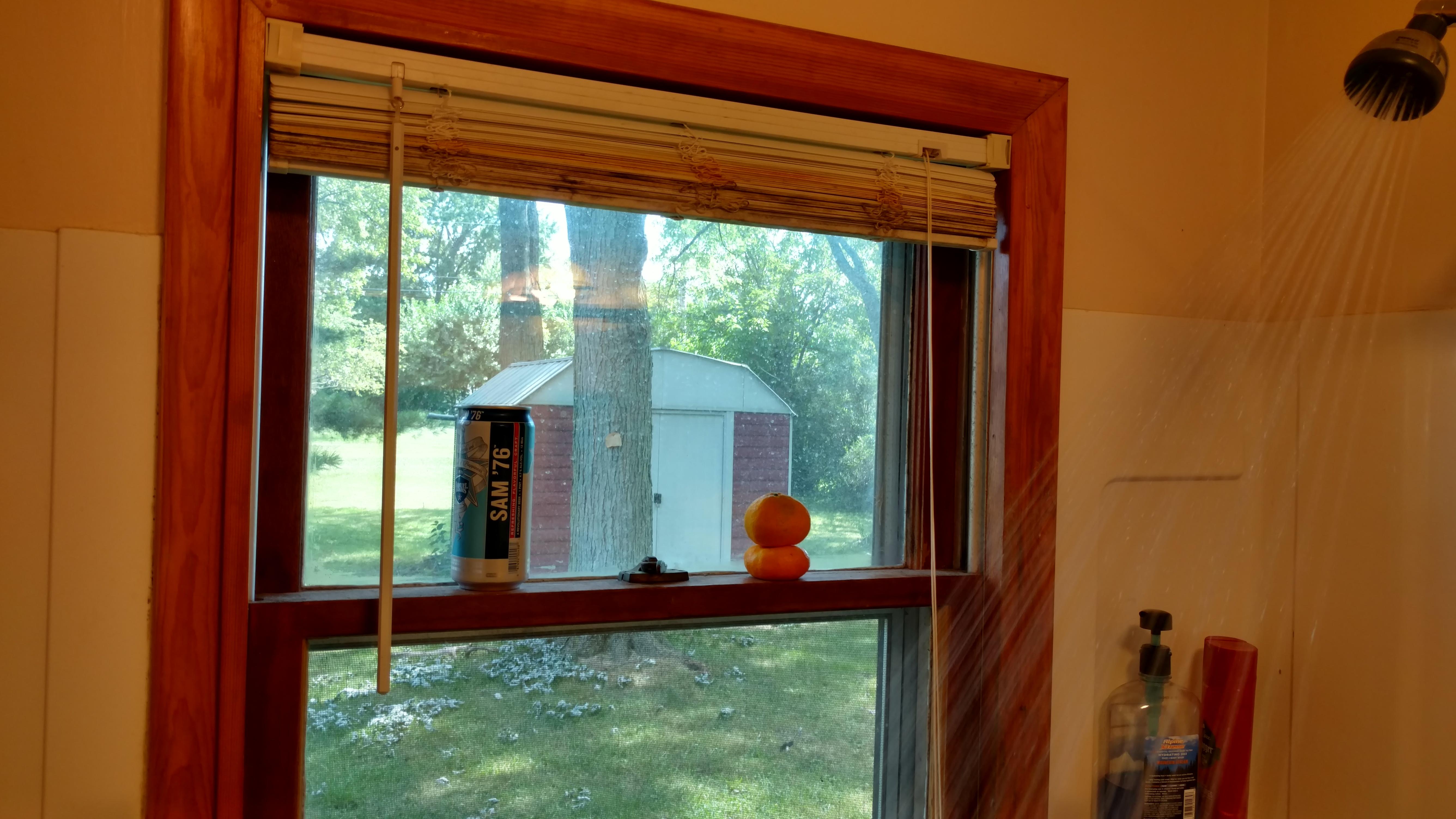 Due to an odd architectural quirk, I have a window in my shower. This