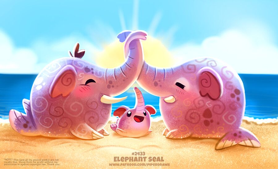 Elephant Seal by Piper Thibodeau | Scrolller