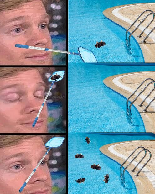 Pools Relatable Meme every pool owner can relate | Scrolller